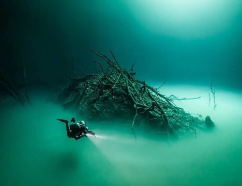 CENOTE ANGELITA  ‘Le mystère sous-marin de la péninsule du Yucatán’