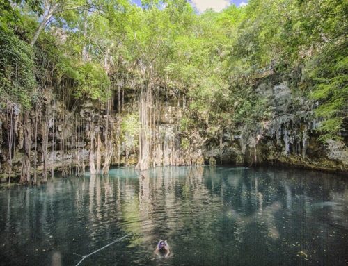CENOTE YOKDZONOT  ‘Le cenote sacré du Yucatán’