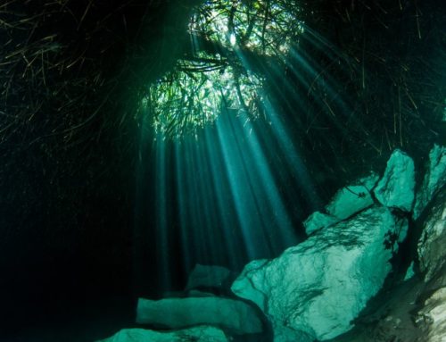 Faut-il être certifié pour plonger en cénote au Mexique ?