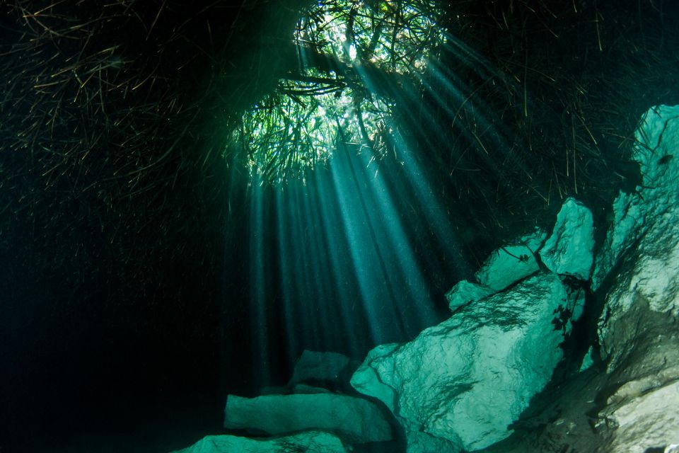 Certification de plongée : est-ce obligatoire en cénotes ?