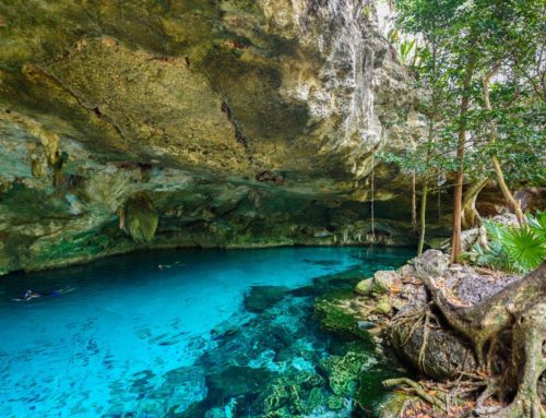 Cénotes ouvert ou rivière souterraine : quelle excursion choisir à Playa del Carmen ?