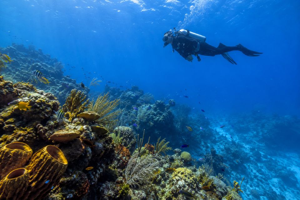 Quelles sont les meilleures excursions au départ de Playa del Carmen ?