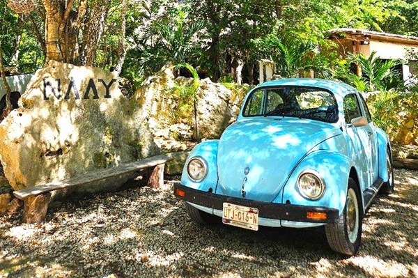 Excursions-playa-del-carmen
