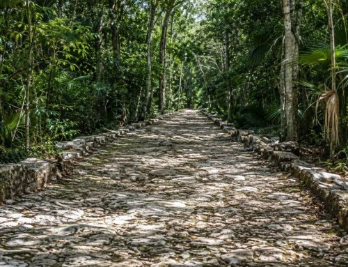 Les sacbeob : les routes blanches qui reliaient le monde maya bien avant nos autoroutes